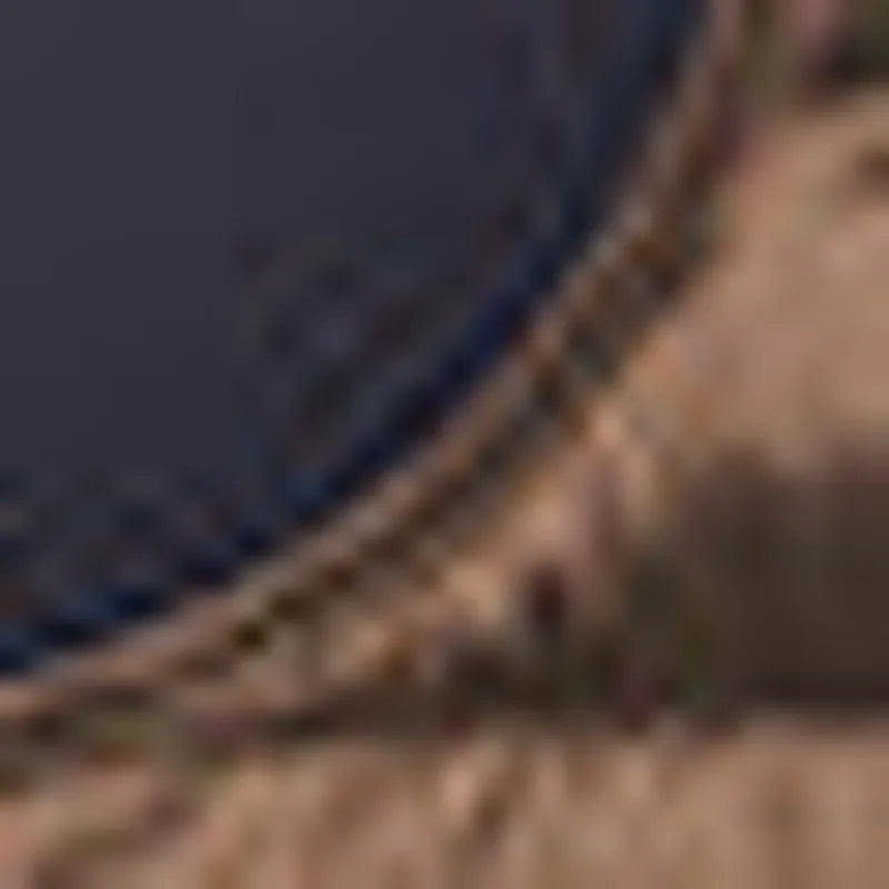 Cigar