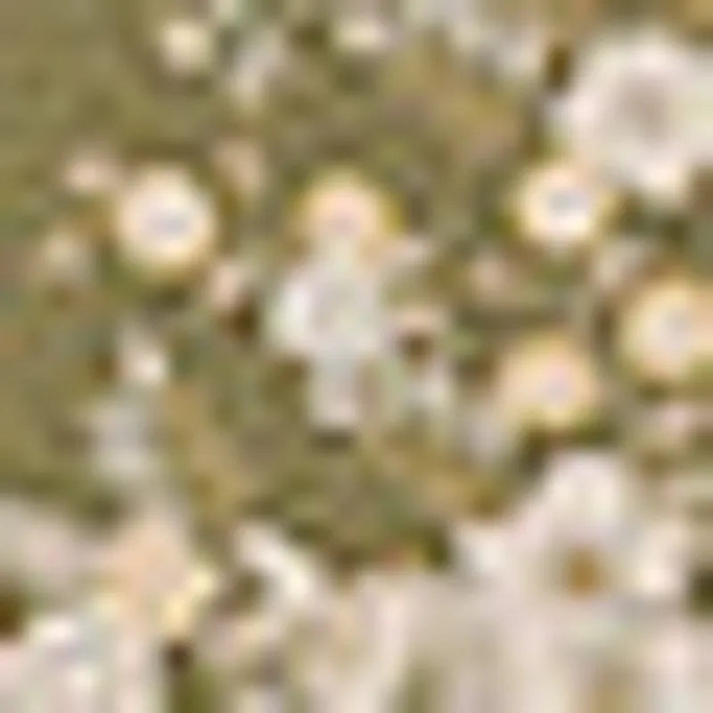 Khaki Green