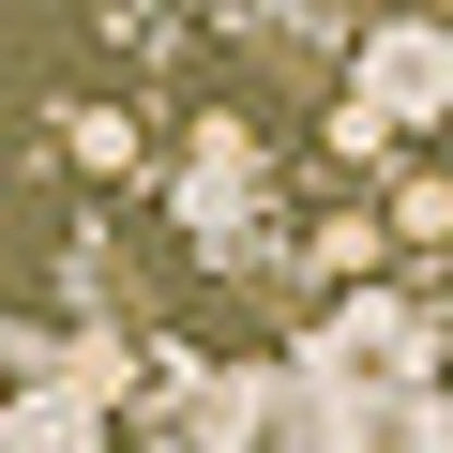 Khaki Green