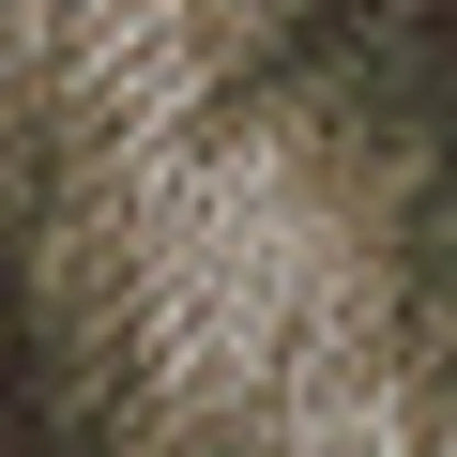 Medium Khaki