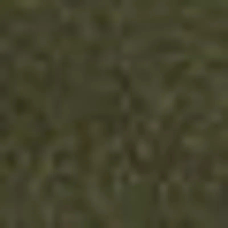 Moss Green
