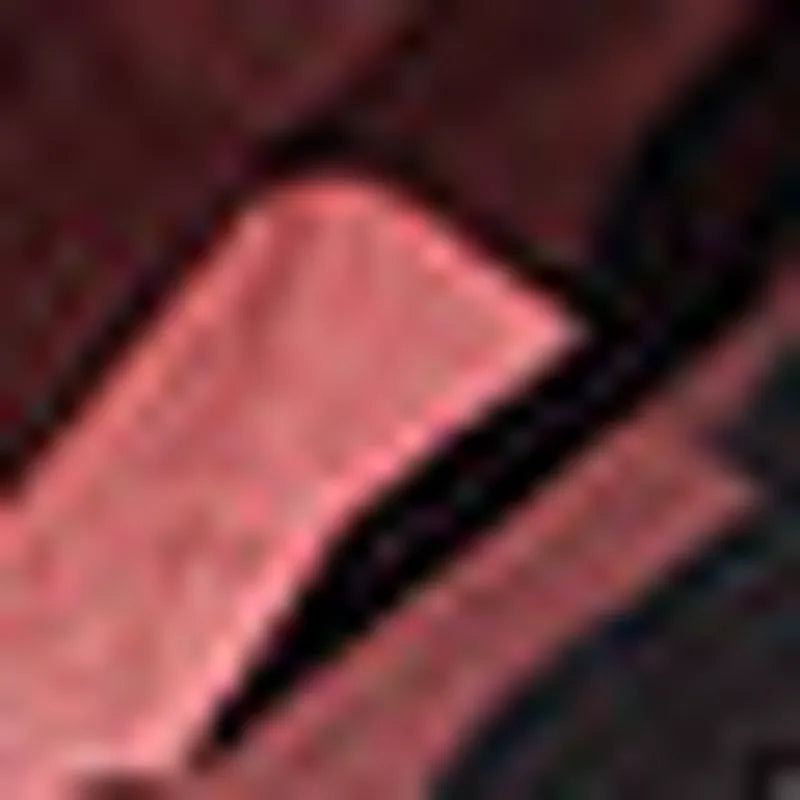 Garnet